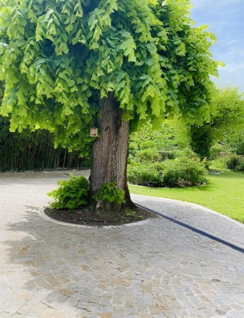 Domaine De Garat Bed & Breakfast Floirac  Dış mekan fotoğraf
